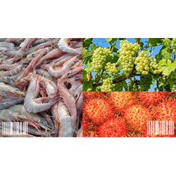 Đăng ký mã số mã vạch tại Trà Vinh chuyên nghiệp - Luật Minh Khuê