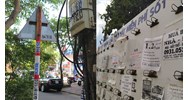 Có được dán tờ rơi quảng cáo trên cây xanh dọc các tuyến đường?