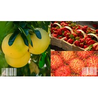 Đăng ký mã số mã vạch tại Vĩnh Long uy tín - Luật Minh Khuê
