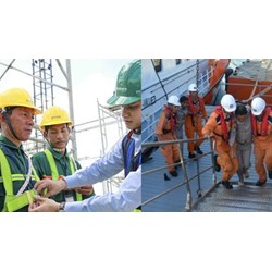 Phải làm sao khi có tai nạn lao động hàng hải làm chết người?
