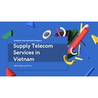 Establish International Company to Supply Telecom Services in VN