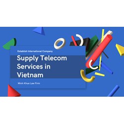 Establish International Company to Supply Telecom Services in VN