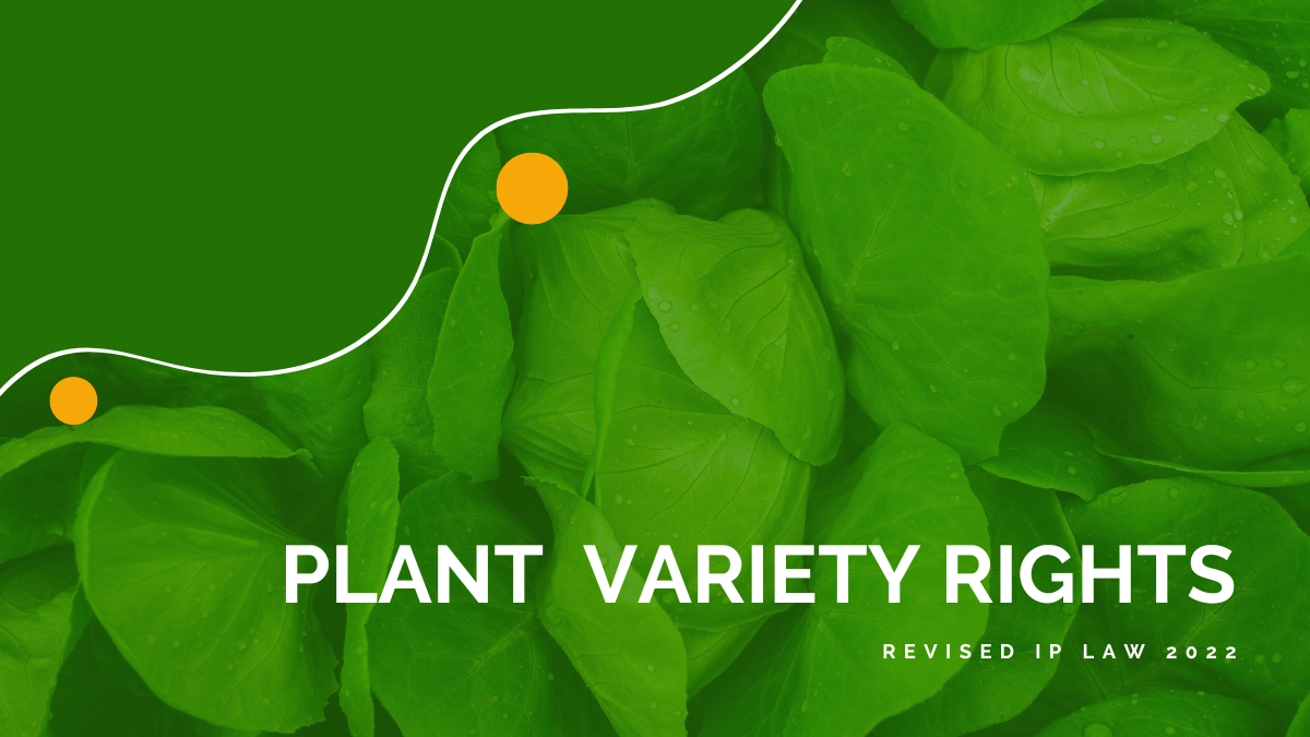 revised-ip-law-2022-new-amendment-in-plant-variety-rights