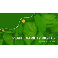 Revised IP Law 2022: New Amendment in Plant Variety Rights
