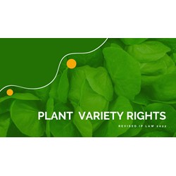 Revised IP Law 2022: New Amendment in Plant Variety Rights