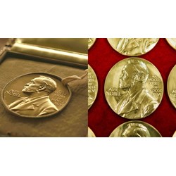 Quy định pháp luật hiện nay về số lượng giải Nobel là bao nhiêu?