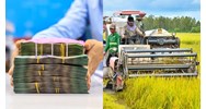 Lãi suất vay vốn Hội nông dân Việt Nam từ Quỹ Hỗ trợ nông dân là?