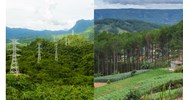 Bổ sung thêm quy định về việc tạm sử dụng rừng từ ngày 06/3/2024?
