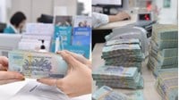 Mức phạt giảm lãi suất cấp tín dụng khi chưa ban hành quy định nội bộ