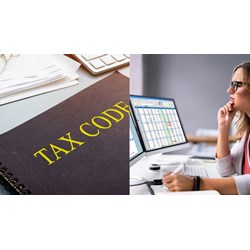 Hướng dẫn cách tra cứu ngày cấp mã số thuế cá nhân đơn giản nhất