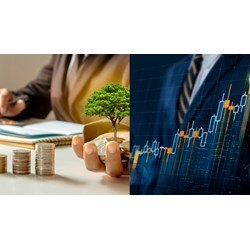 Hướng dẫn thực hiện thủ tục đầu tư trên Hệ thống thông tin quốc gia