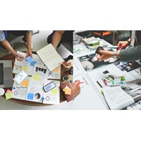 Công ty trách nhiệm hữu hạn một thành viên có mấy đại diện pháp luật?