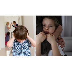 Trách nhiệm chỉ đạo nhân rộng mô hình phòng, chống bạo lực gia đình