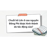 Chuỗi hồ Lớn ở cao nguyên Đông Phi được hình thành do tác động của?