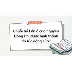 Chuỗi hồ Lớn ở cao nguyên Đông Phi được hình thành do tác động của?