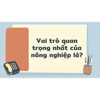 Vai trò quan trọng nhất của nông nghiệp là? - Địa lý lớp 10