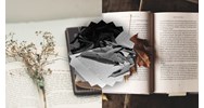 Viết bài nghị luận về một vấn đề đặt ra trong tác phẩm văn học