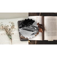 Viết bài nghị luận về một vấn đề đặt ra trong tác phẩm văn học