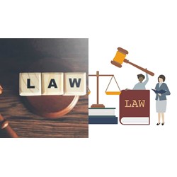 Pháp luật do Nhà nước ban hành và đảm bảo thực hiện bằng?