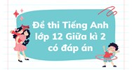 Đề thi Tiếng Anh lớp 12 Giữa kì 2 có đáp án chi tiết nhất