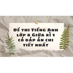 Đề thi Tiếng Anh lớp 8 Giữa kì 1 có đáp án chi tiết nhất