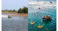 Mức hỗ trợ kinh phí cấp nước nhằm nuôi trồng thủy sản