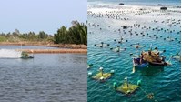Mức hỗ trợ kinh phí cấp nước nhằm nuôi trồng thủy sản