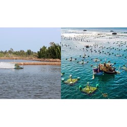 Mức hỗ trợ kinh phí cấp nước nhằm nuôi trồng thủy sản