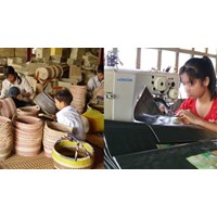 Những nơi làm việc gây tổn hại sự phát triển của người dưới 18 tuổi