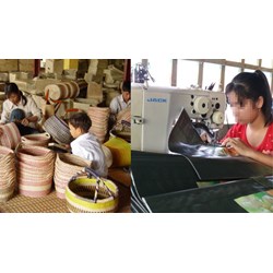 Những nơi làm việc gây tổn hại sự phát triển của người dưới 18 tuổi