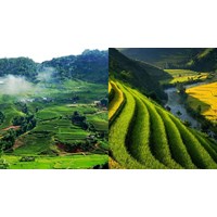 Biện pháp quan trọng để cải tạo đất hoang, đồi núi trọc hiện nay là?