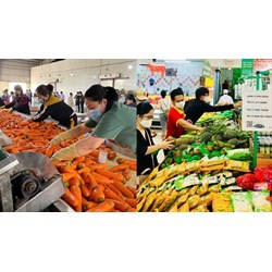 Hoạt động nội thương phát triển mạnh ở những vùng có?