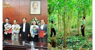 Tổ chức tham mưu tại Cục Lâm nghiệp thuộc Bộ Nông nghiệp và Phát triển