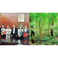 Tổ chức tham mưu tại Cục Lâm nghiệp thuộc Bộ Nông nghiệp và Phát triển