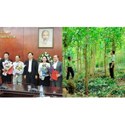 Tổ chức tham mưu tại Cục Lâm nghiệp thuộc Bộ Nông nghiệp và Phát triển
