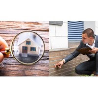 Thời hạn giám định tư pháp đối với sản phẩm văn hóa là bao lâu?