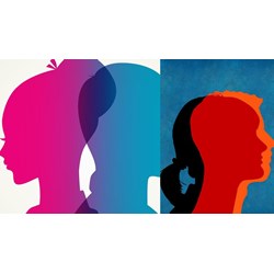 Người chuyển giới khi kết hôn có được bảo vệ quyền lợi không?