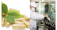 Trình tự cấp giấy phép hoạt động tạm xuất tái nhập thuốc tiền chất