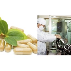 Trình tự cấp giấy phép hoạt động tạm xuất tái nhập thuốc tiền chất