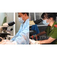 Nội dung nghiên cứu để chuẩn bị thực hiện giám định tư pháp sản phẩm văn hóa
