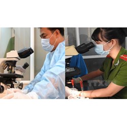 Nội dung nghiên cứu để chuẩn bị thực hiện giám định tư pháp sản phẩm văn hóa