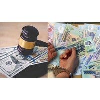 Mức hành chính đối với tội lừa đảo tài sản của cá nhân, tổ chức?
