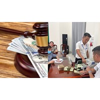 Trường hợp được bồi thường và không được bồi thường khi tham gia bảo hiểm bắt buộc trách nhiệm dân sự