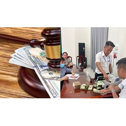 Trường hợp được bồi thường và không được bồi thường khi tham gia bảo hiểm bắt buộc trách nhiệm dân sự