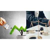 Nguyên tắc tổ chức tín dụng tuân thủ khi thực hiện cấp tín dụng hợp vốn