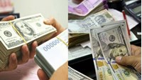 Tỷ giá hạch toán ngoại tệ tháng 03 năm 2024 như thế nào?