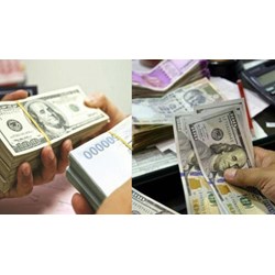 Tỷ giá hạch toán ngoại tệ tháng 03 năm 2024 như thế nào?