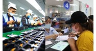 Có bắt buộc đóng bảo hiểm thất nghiệp cho người lao động không?