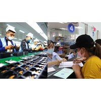Có bắt buộc đóng bảo hiểm thất nghiệp cho người lao động không?
