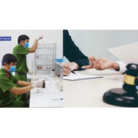 11 lĩnh vực giám định tư pháp lĩnh vực lao động, người có công và xã hội